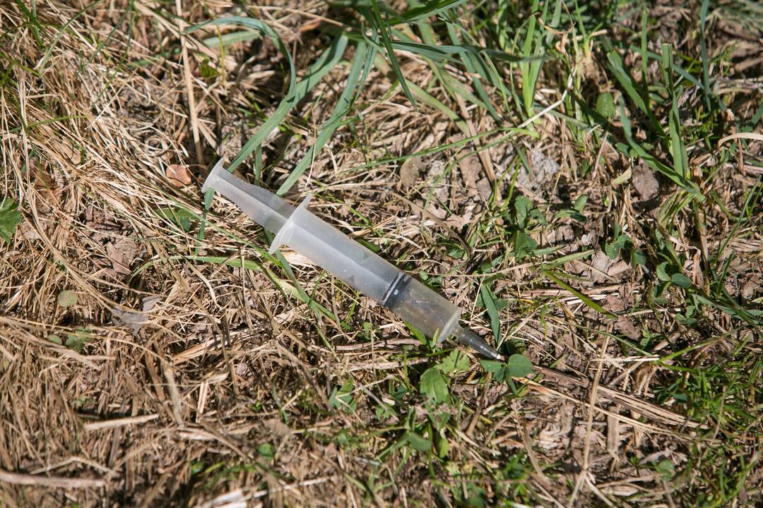 Vyriausybė – už griežtesnes baudas lindynių savininkams