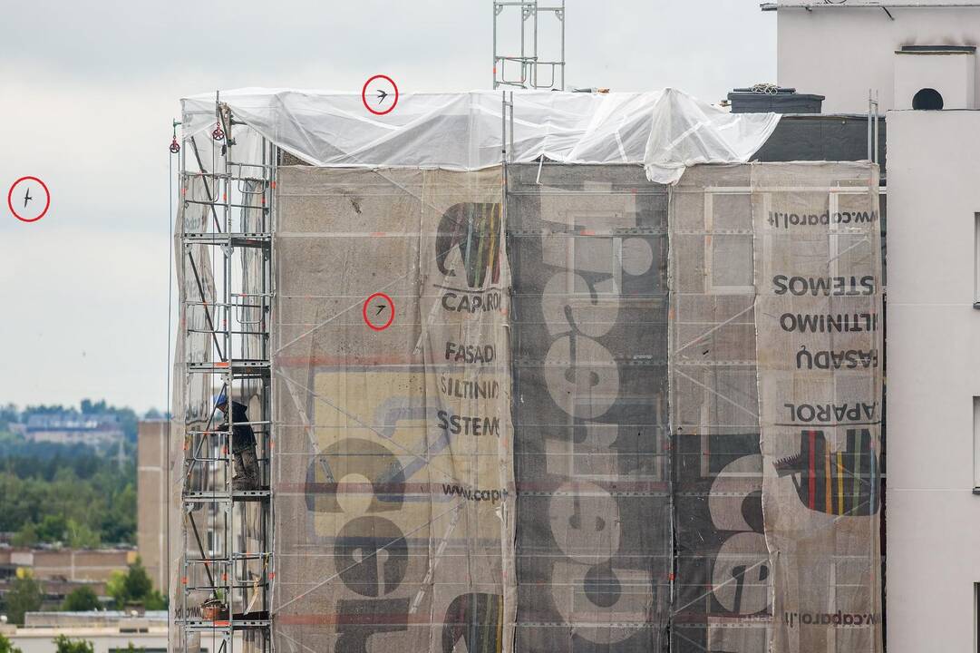 Šaukiasi pagalbos: renovuojamas namas čiurliams tapo pražūtingais spąstais