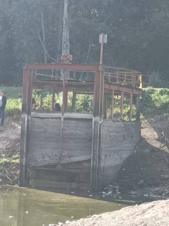 Kazlų Rūdos tvenkinyje išgaišo žuvys