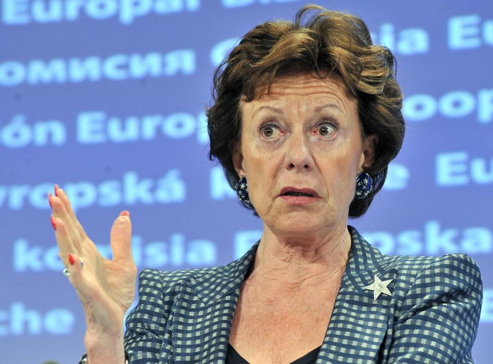 Neelie Kroes