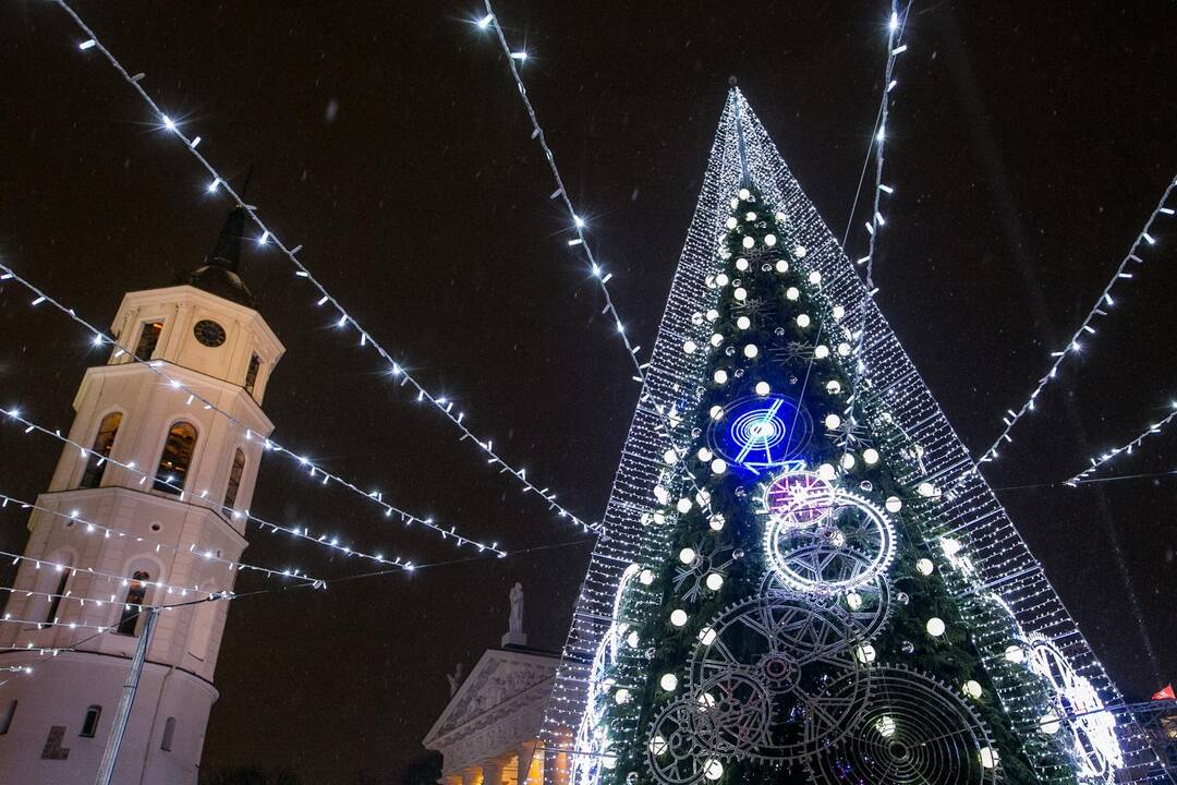 Sostinės Katedros aikštėje suspindo Kalėdų eglė