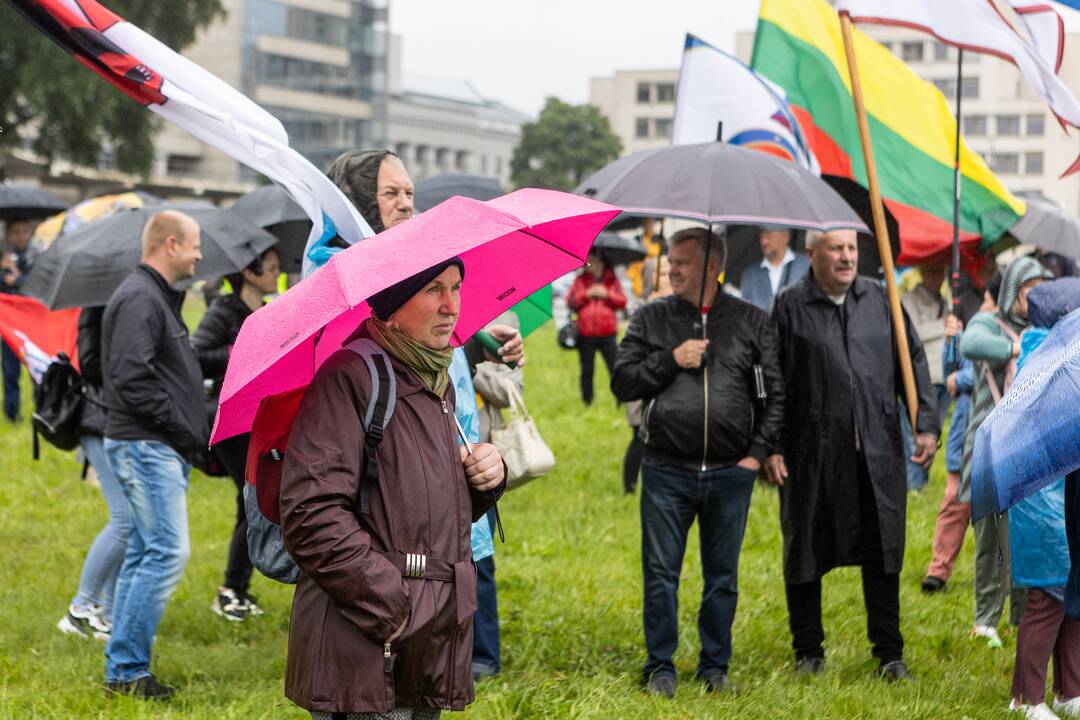 Šeimų sąjūdžio protestas prie Seimo