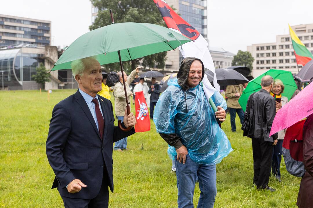 Šeimų sąjūdžio protestas prie Seimo
