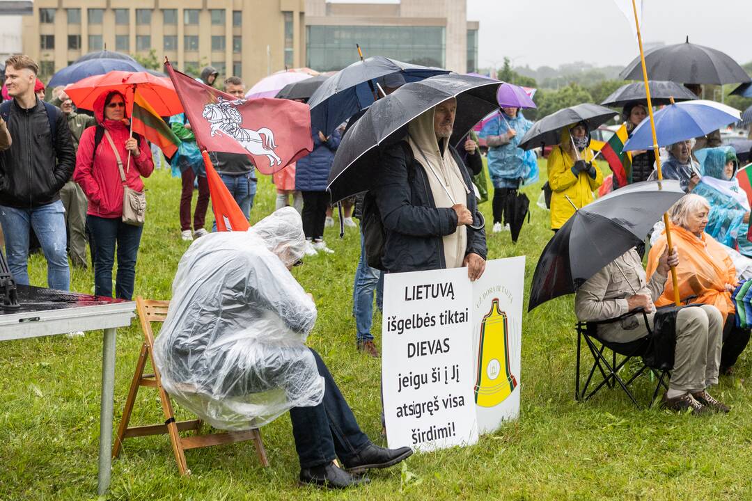 Šeimų sąjūdžio protestas prie Seimo