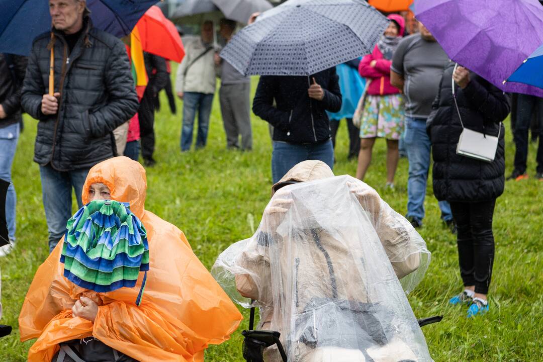 Šeimų sąjūdžio protestas prie Seimo