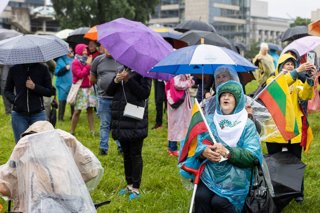 Šeimų sąjūdžio protestas prie Seimo