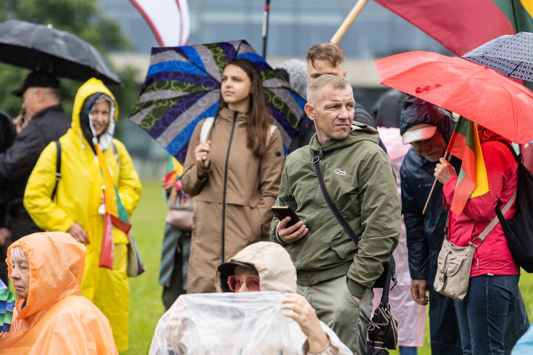 Šeimų sąjūdžio protestas prie Seimo