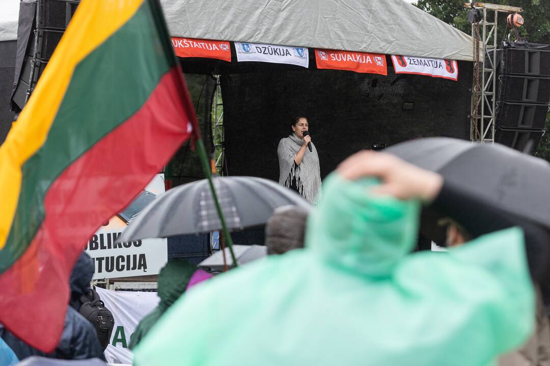Šeimų sąjūdžio protestas prie Seimo