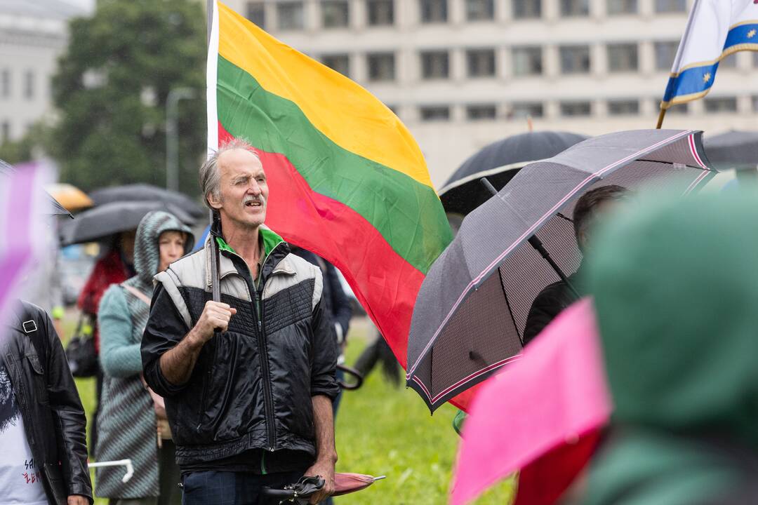 Šeimų sąjūdžio protestas prie Seimo