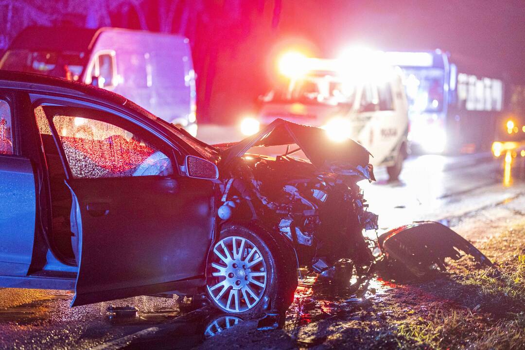 Skaudi kaktomuša Utenoje: jaunas vyras turės rimtų problemų