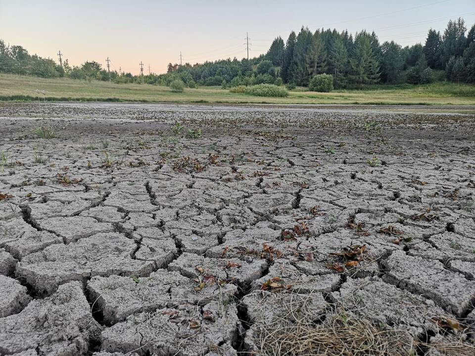 Dėl sausros Lietuvoje skelbiama ekstremali padėtis 