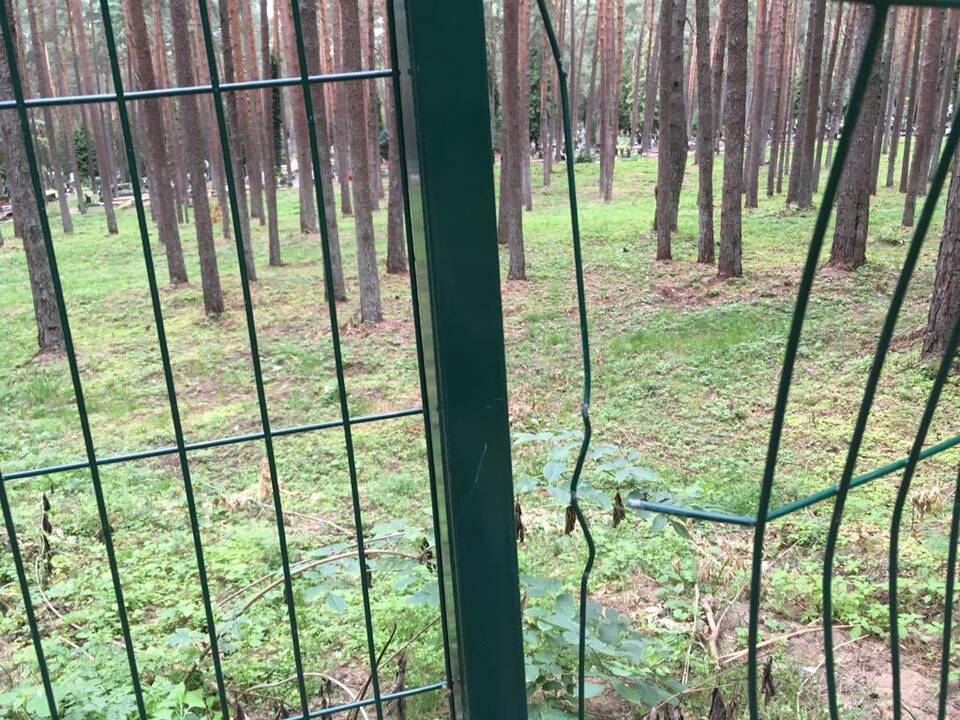 Sugadino: Petrašiūnų kapinių tvoroje žiojasi plyšiai.