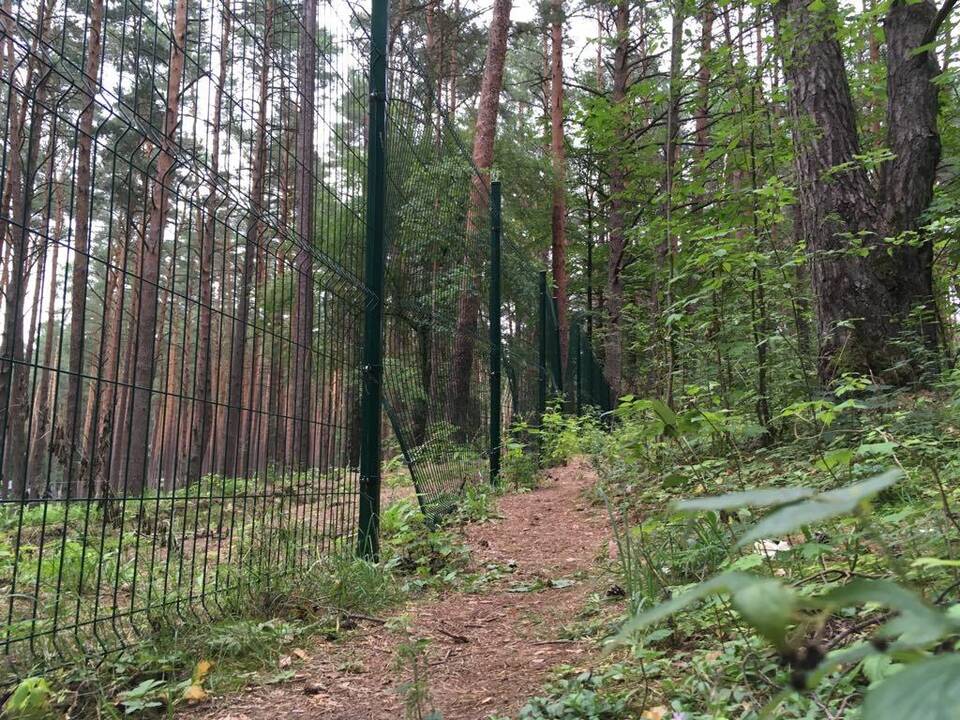 Sugadino: Petrašiūnų kapinių tvoroje žiojasi plyšiai.