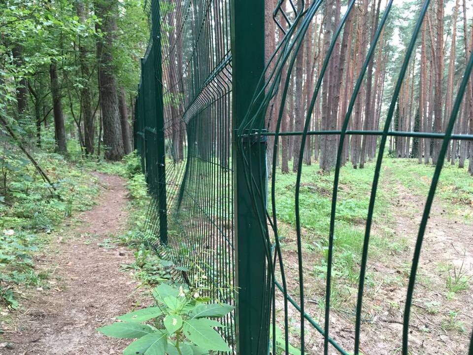 Sugadino: Petrašiūnų kapinių tvoroje žiojasi plyšiai.