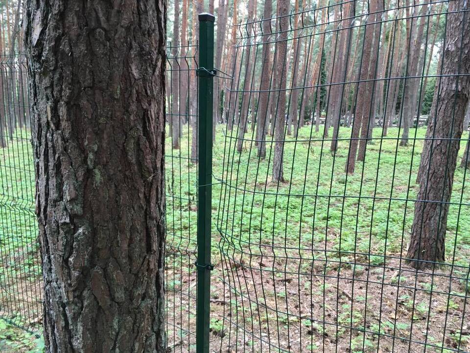 Sugadino: Petrašiūnų kapinių tvoroje žiojasi plyšiai.