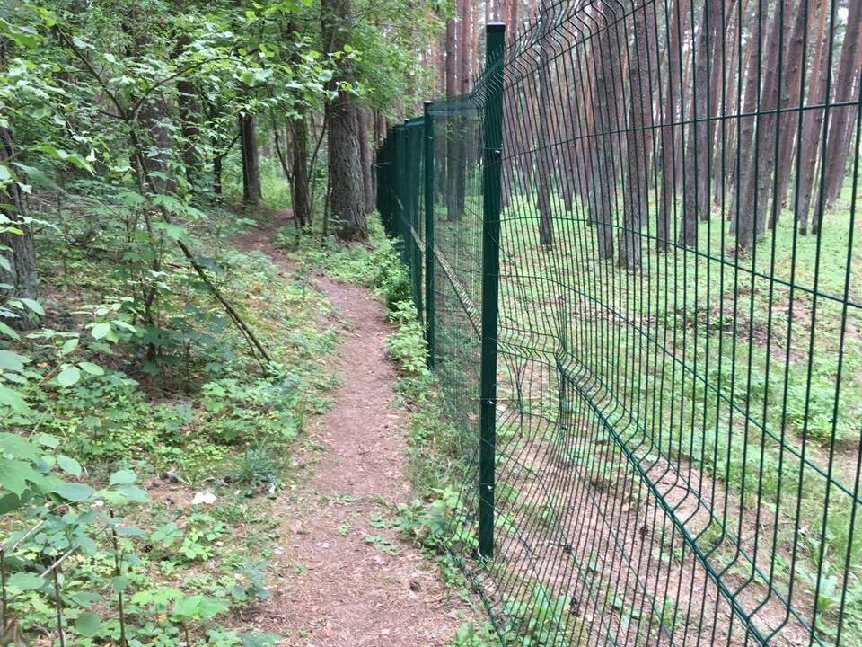 Sugadino: Petrašiūnų kapinių tvoroje žiojasi plyšiai.