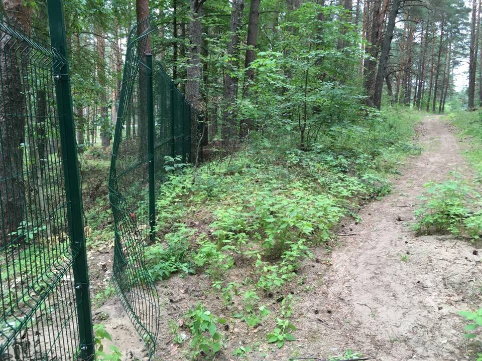 Sugadino: Petrašiūnų kapinių tvoroje žiojasi plyšiai.