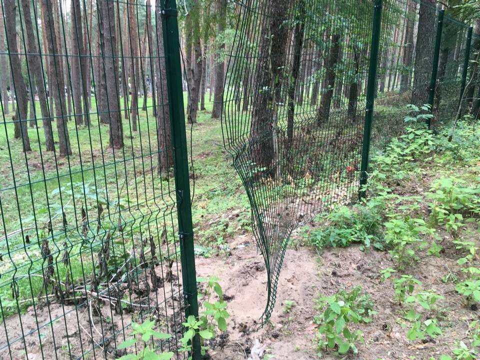 Sugadino: Petrašiūnų kapinių tvoroje žiojasi plyšiai.