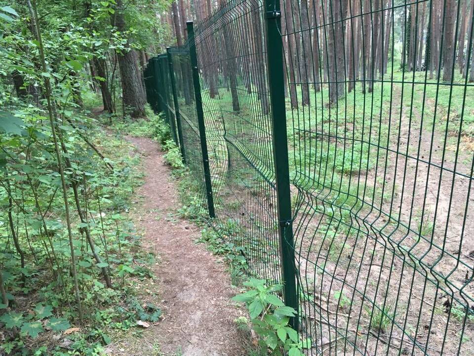 Sugadino: Petrašiūnų kapinių tvoroje žiojasi plyšiai.