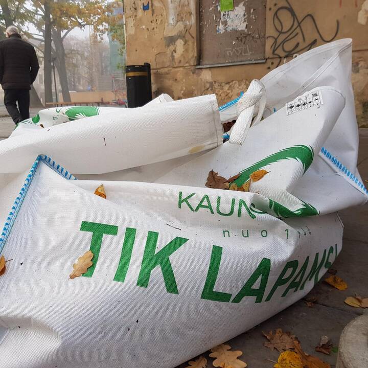 Rudeniniai lapai nuklojo Kauną