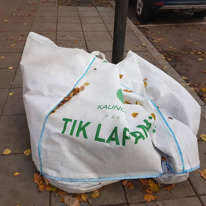 Rudeniniai lapai nuklojo Kauną