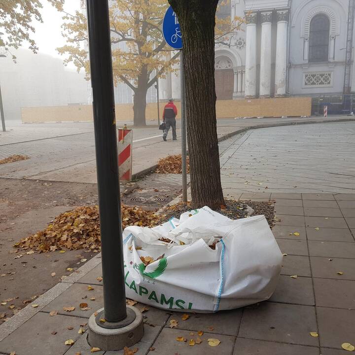 Rudeniniai lapai nuklojo Kauną