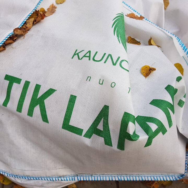 Rudeniniai lapai nuklojo Kauną