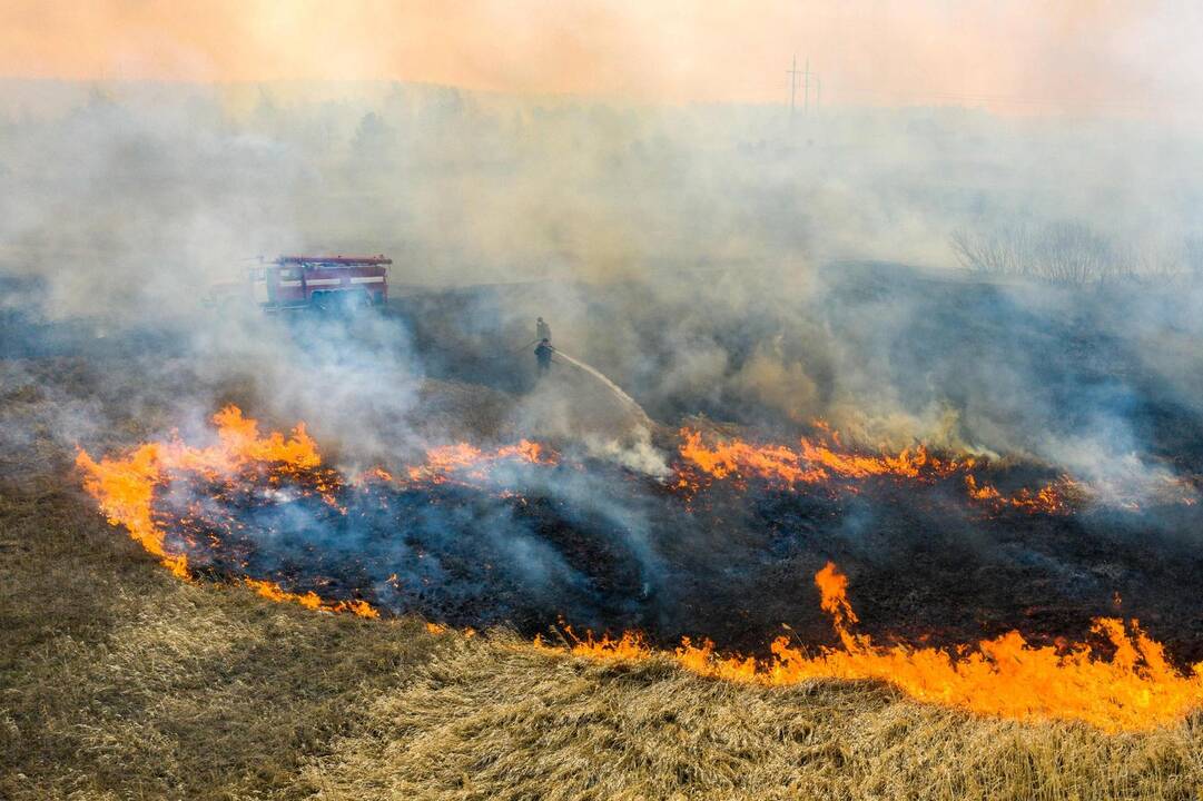 Miško gaisras Černobylio uždaroje zonoje