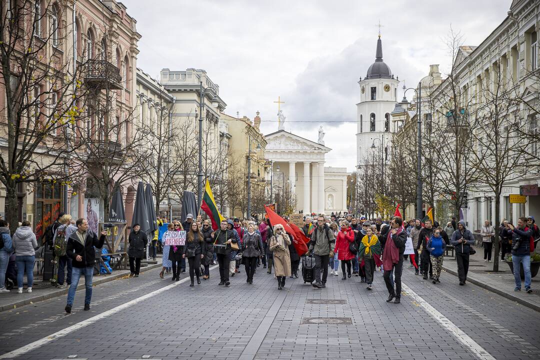 A. Astrauskaitės mitingas prieš pandemijos valdymą Vilniuje