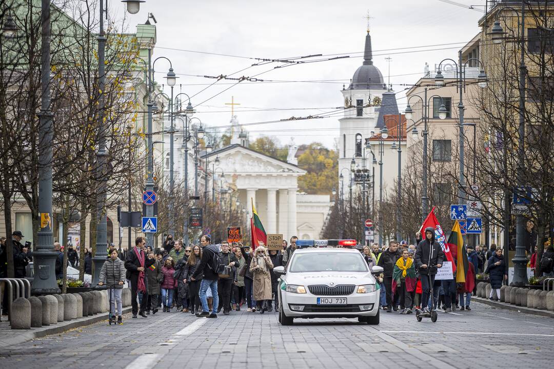 A. Astrauskaitės mitingas prieš pandemijos valdymą Vilniuje