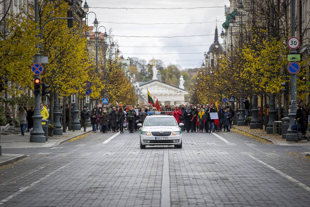 A. Astrauskaitės mitingas prieš pandemijos valdymą Vilniuje