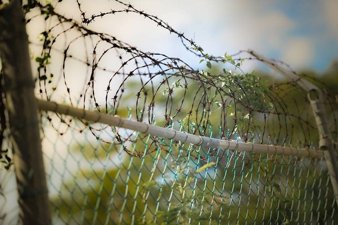 Lietuva ir Indija pasirašys ekstradicijos sutartį
