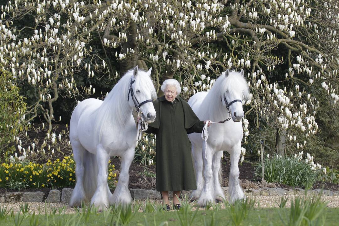 Elizabeth II