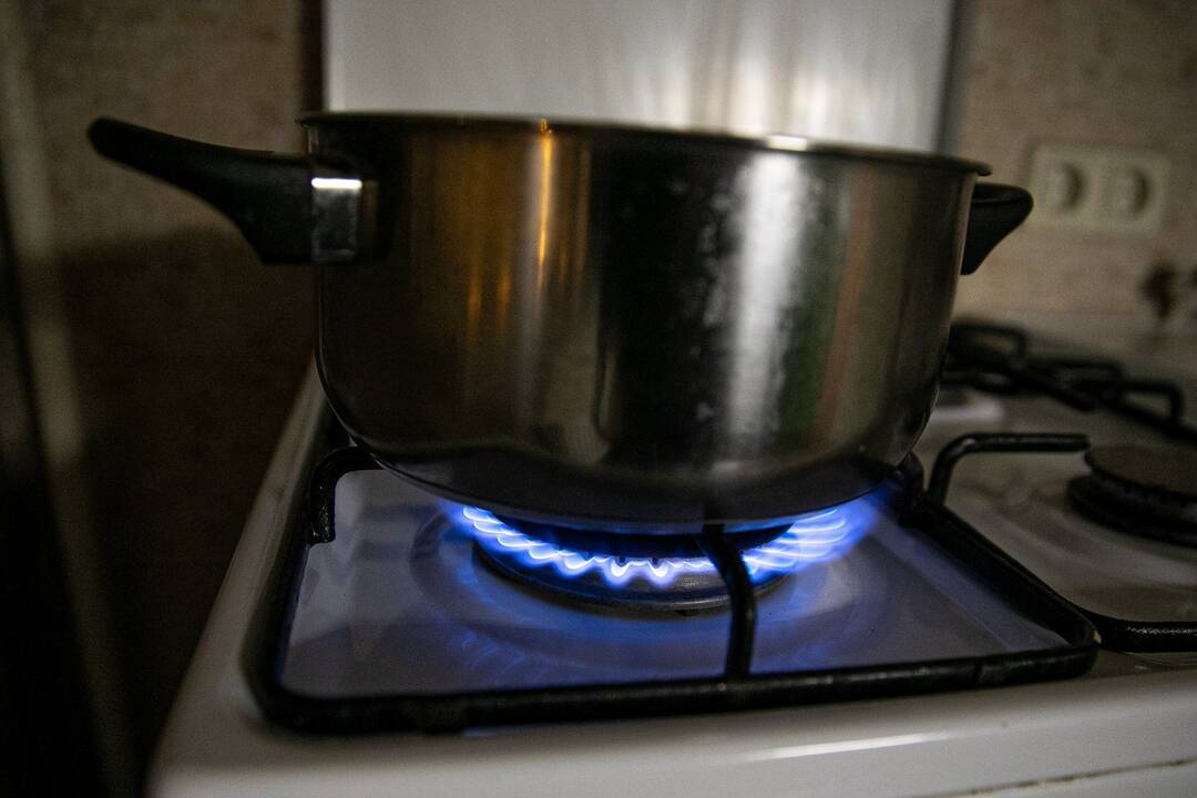 Situacija: šiuo metu vartotojai už dujas moka daugiau, nei jos kainuoja rinkoje.