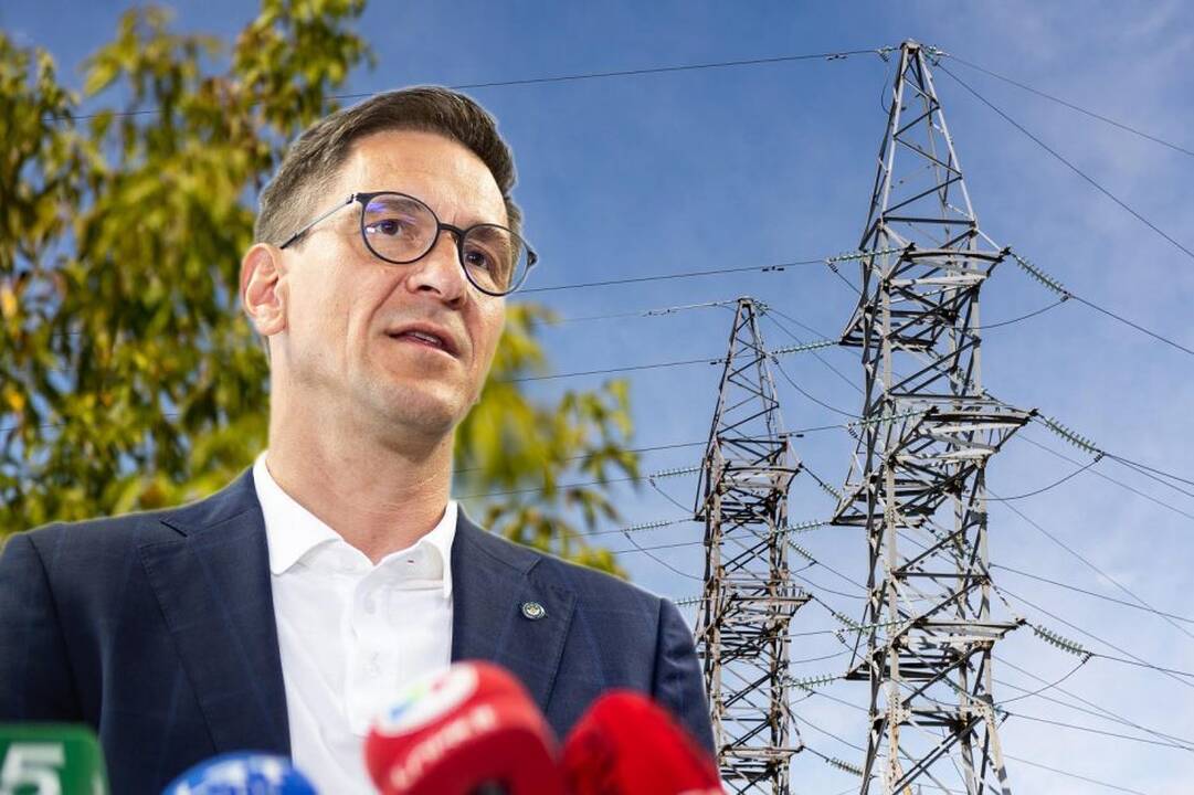 Artėjant sinchronizacijai, D. Kreivys Rusijos provokacijų neprognozuoja