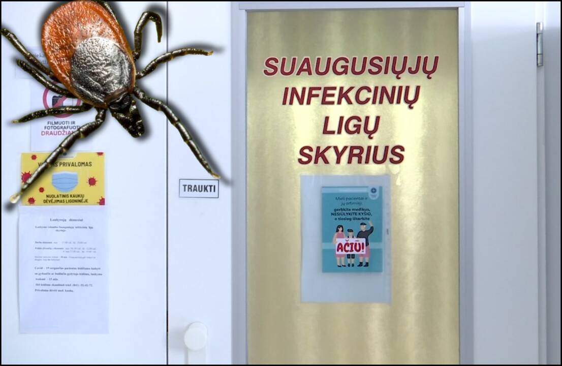 „Šiemet jos kaip niekada aktyvios“: gydytojai įspėja gyventojus, o patys ruošiasi pikui