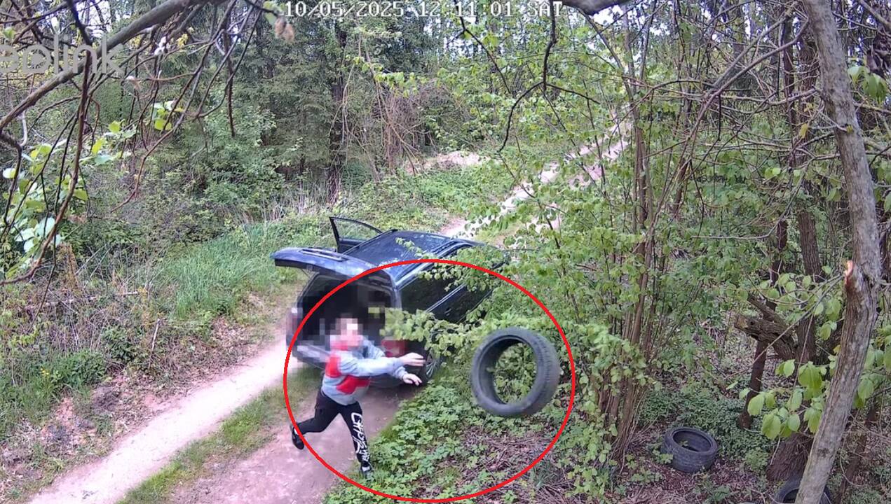 Nufilmavo ir pagavo: miške išmestas padangas teko susirinkti