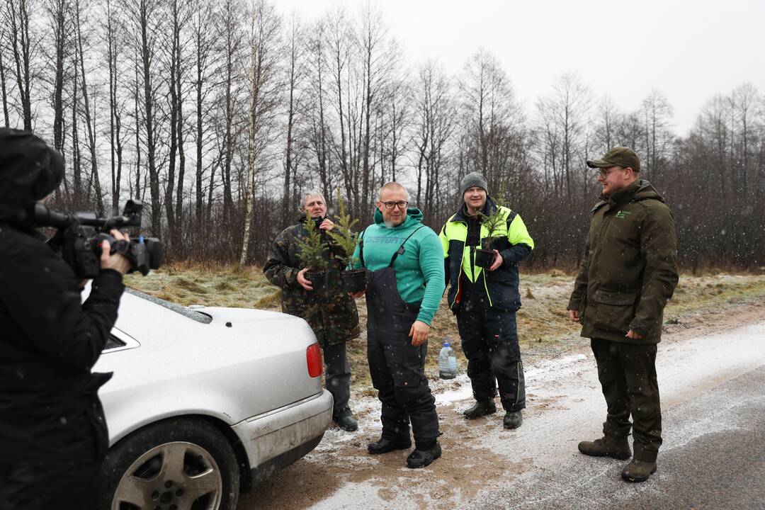 Miškininkų ir pareigūnų prevencinė akcija „Eglutė“