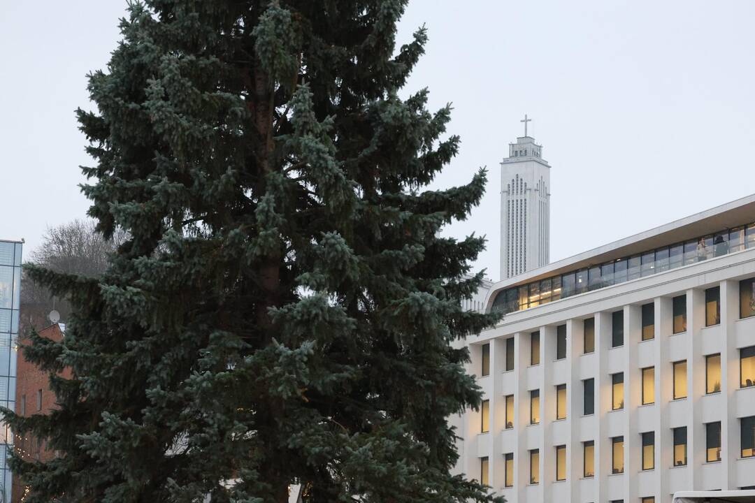 Kauno kalėdinė eglutė – jau Vienybės aikštėje