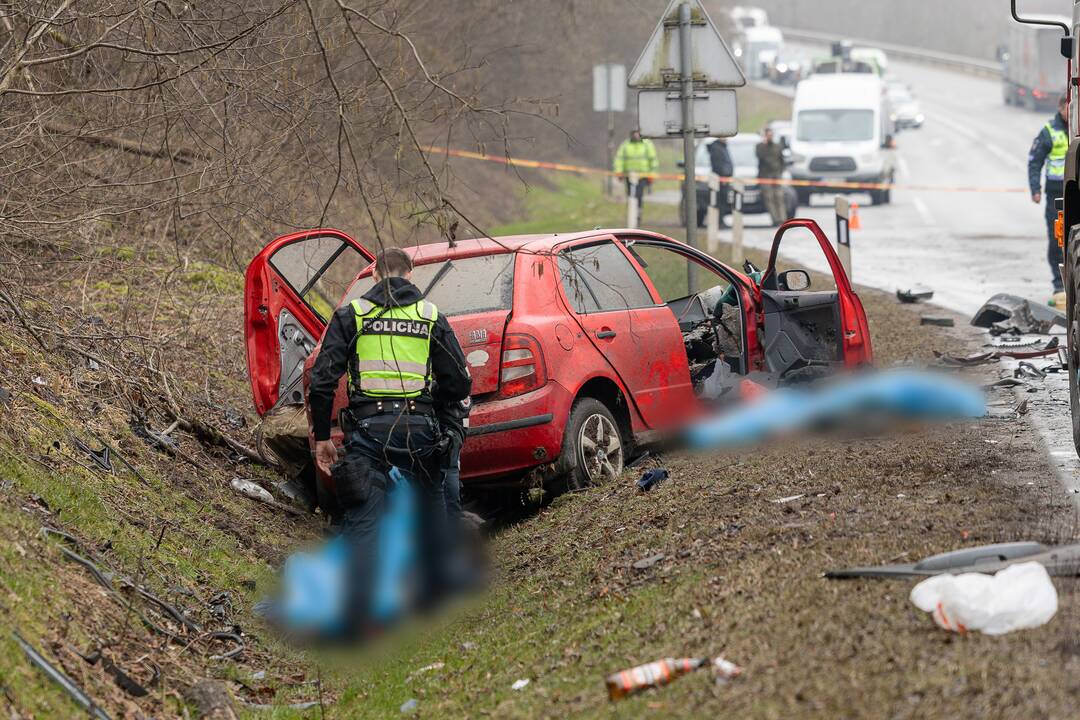 Netoli Kauno – siaubinga akistata su miškovežiu