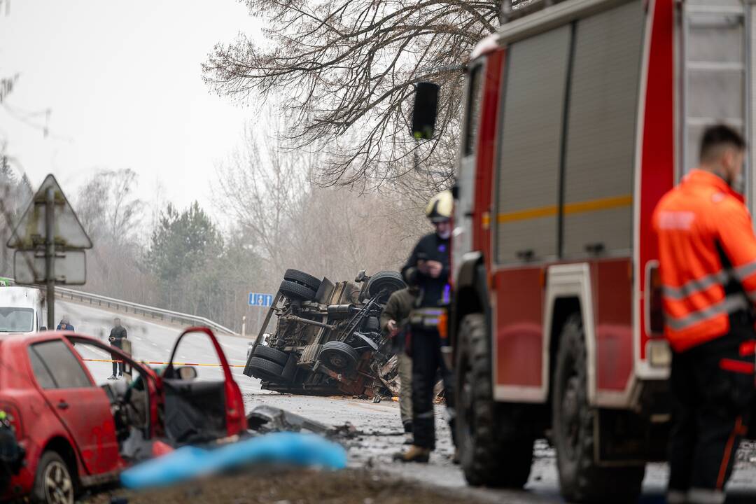 Netoli Kauno – siaubinga akistata su miškovežiu