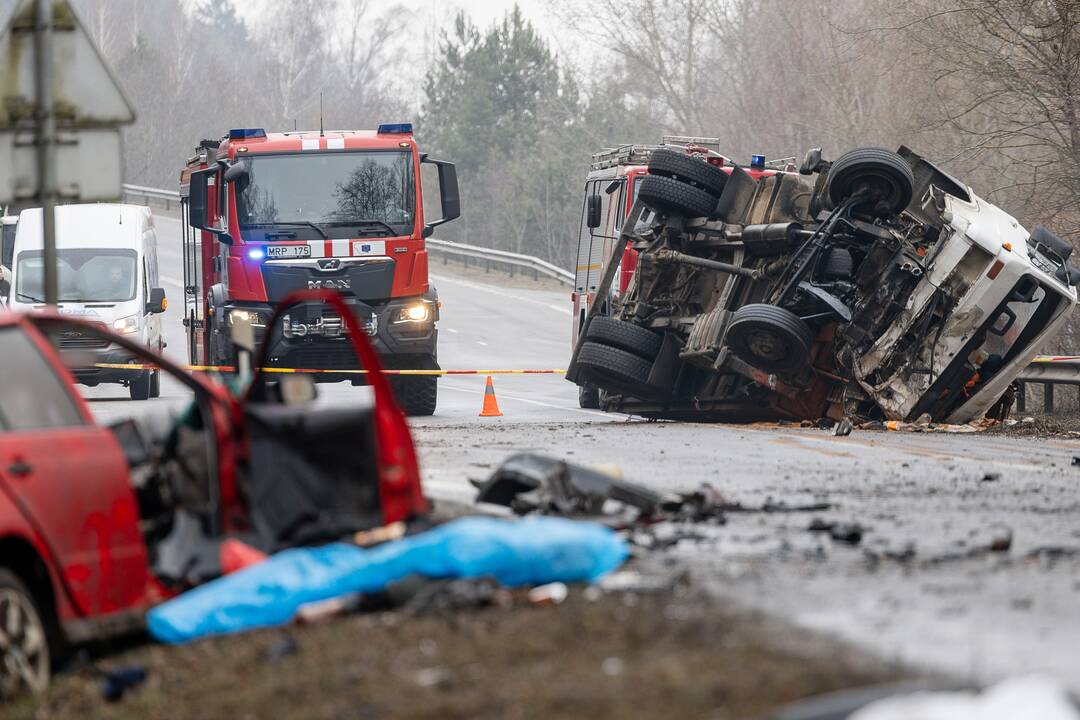 Netoli Kauno – siaubinga akistata su miškovežiu