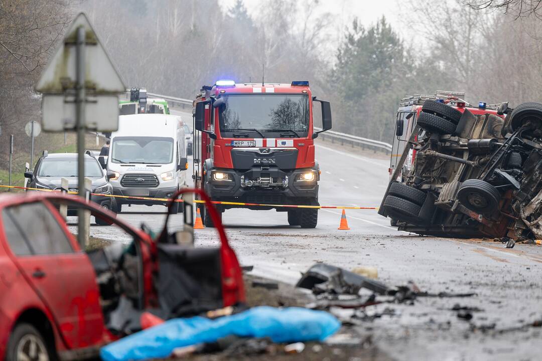 Netoli Kauno – siaubinga akistata su miškovežiu