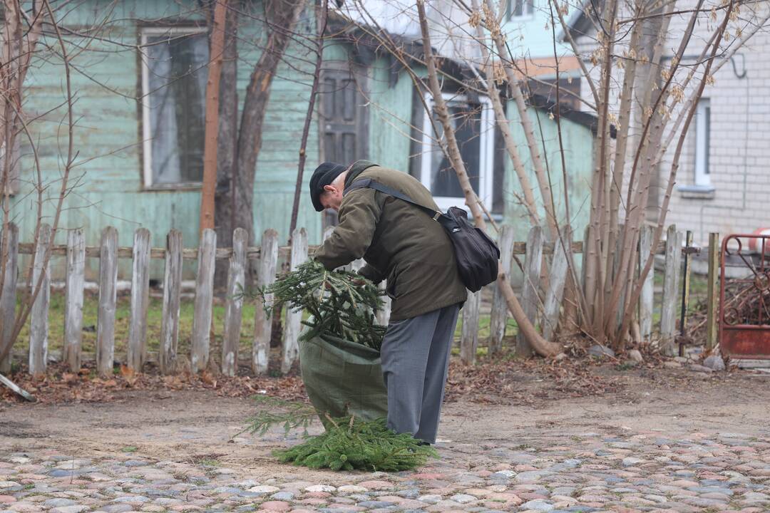 Miškininkai vėl pakvietė į namus parsinešti kvepiančias Kalėdas