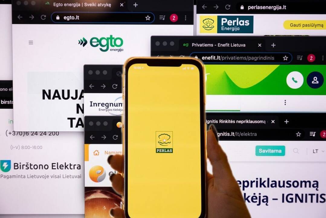 Vadovas: „Perlo Energijos“ turtas vertinamas apie 15 mln. eurų 