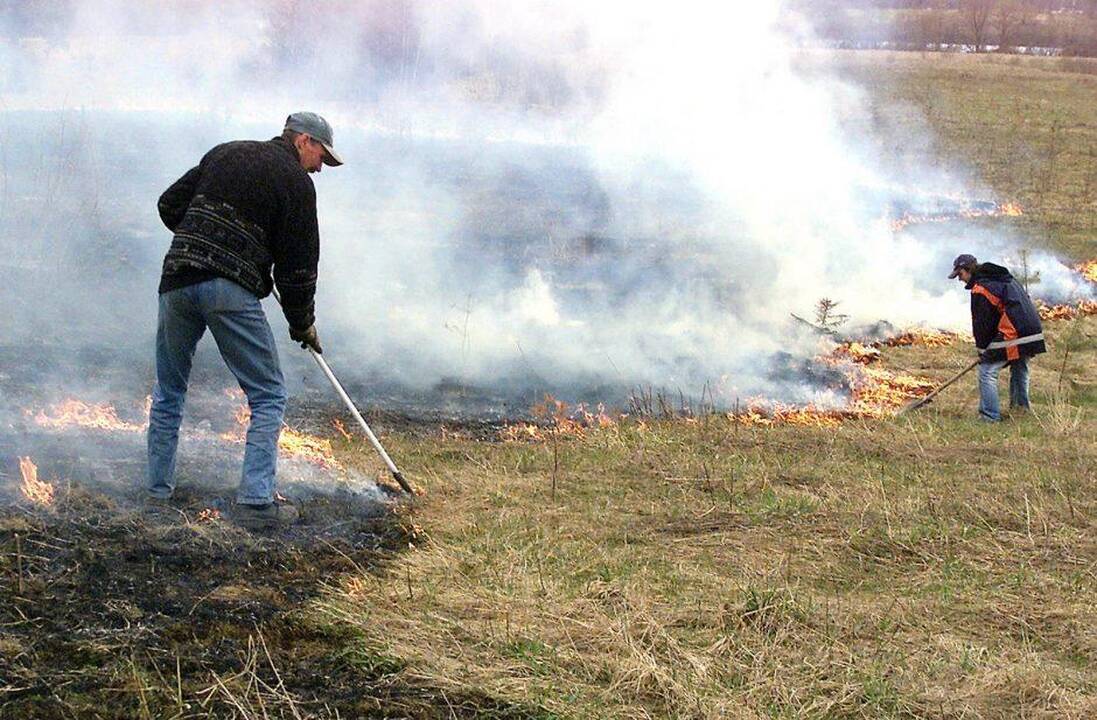 Per savaitgalį Lietuvoje kilo daugiau nei 70 žolės gaisrų