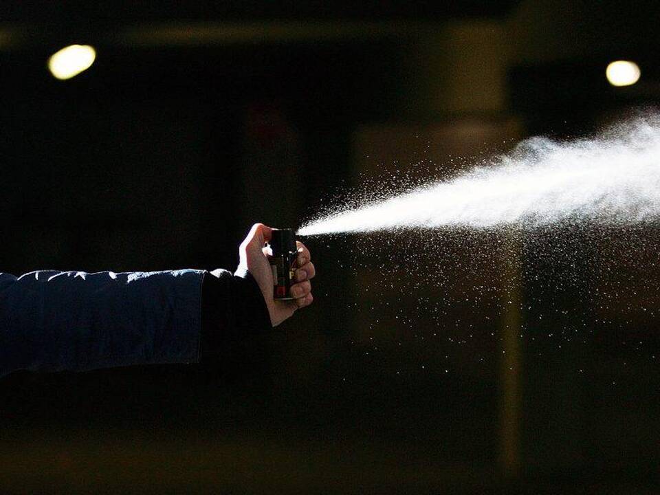 Nustatytas nepilnametis, Radvilų gimnazijoje papurškęs pipirinių dujų