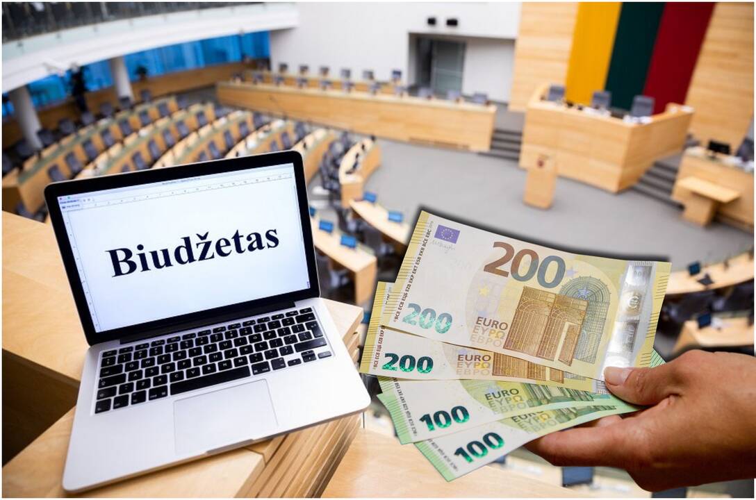 2025 metų biudžetas: kiek „į rankas“ gaus pensininkas, mokytojas, prezidentas 