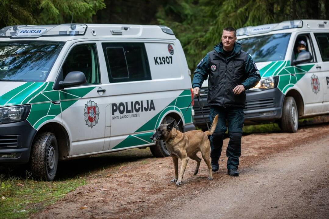 Dingo nepilnametis Oskaras: paskutinį kartą matytas prie „Akropolio“