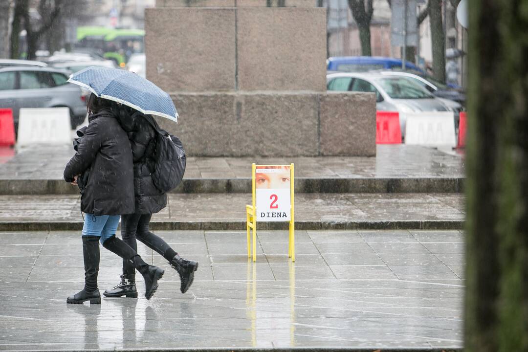 Tikslas: menininkas V.Jakas viliasi užkurti žmones diskusijai dėl paminklo vietos tinkamumo.